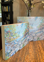 Load image into Gallery viewer, American River custom prints &amp; murals
