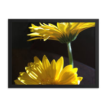 Load image into Gallery viewer, Yellow Daisy 1
