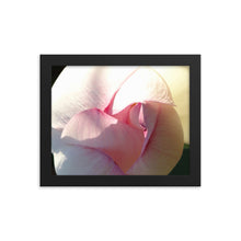 Load image into Gallery viewer, Lotus 1
