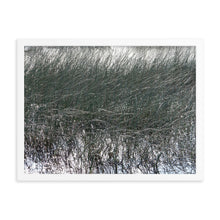Load image into Gallery viewer, Wetlands Landscape
