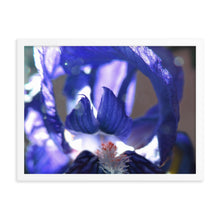 Load image into Gallery viewer, Blue Iris 1
