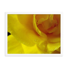 Load image into Gallery viewer, Yellow Daisy 2
