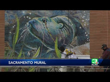 Load and play video in Gallery viewer, American River custom prints &amp; murals
